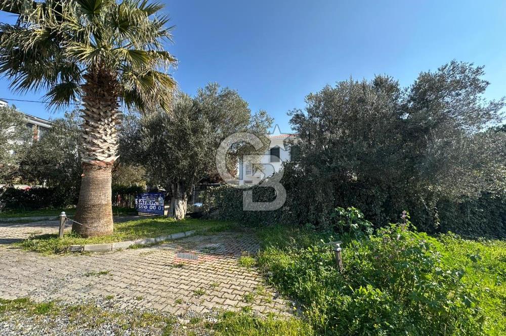 Denize 100m Özel Havuzlu 920m2 Arsada Şömineli Satılık 4+1 Villa