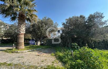 Denize 100m Özel Havuzlu 920m2 Arsada Şömineli Satılık 4+1 Villa