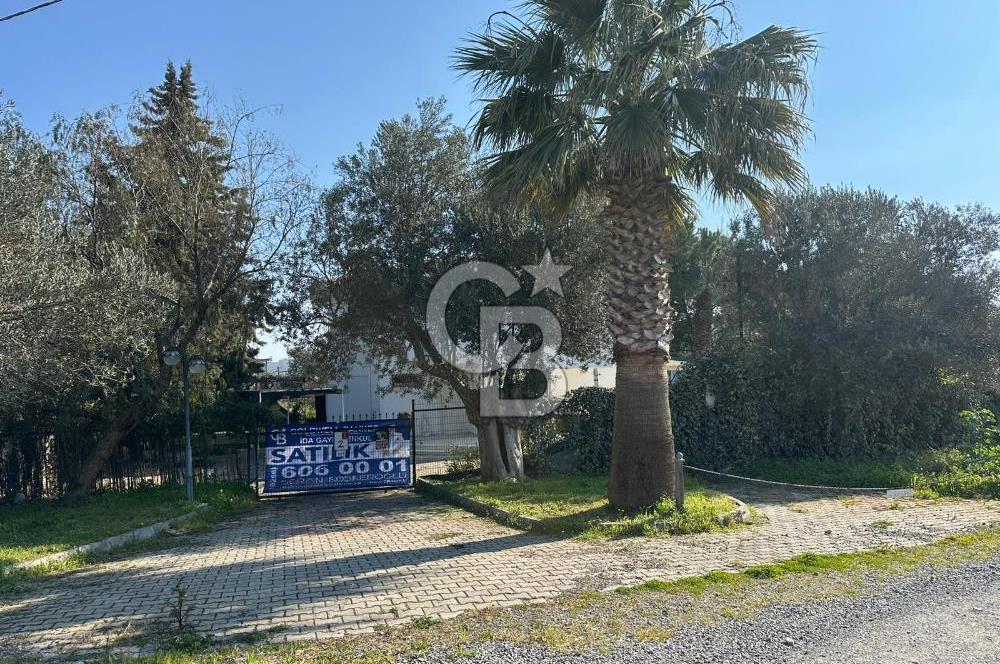 Denize 100m Özel Havuzlu 920m2 Arsada Şömineli Satılık 4+1 Villa