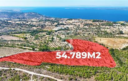 ÇANAKKALE MERKEZ İNTEPE'DE 54 DÖNÜM SATILIK ZEYTİNLİK