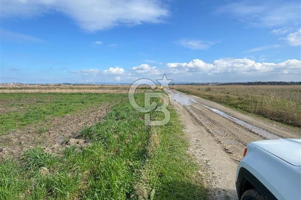 ÇANAKKALE MERKEZ TEVFİKİYE KÖYÜNDE SATILIK TARLA 