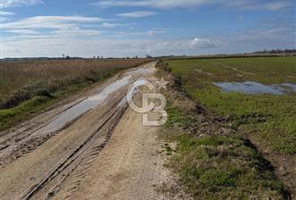 ÇANAKKALE MERKEZ TEVFİKİYE KÖYÜNDE SATILIK TARLA  - 1 - 337765