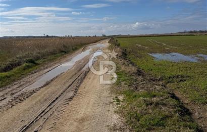 ÇANAKKALE MERKEZ TEVFİKİYE KÖYÜNDE SATILIK TARLA 