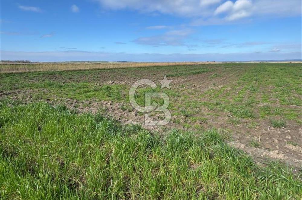 ÇANAKKALE MERKEZ TEVFİKİYE KÖYÜNDE SATILIK TARLA 