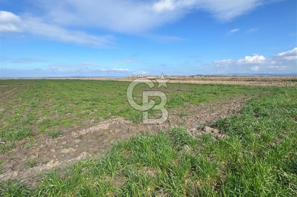 ÇANAKKALE MERKEZ TEVFİKİYE KÖYÜNDE SATILIK TARLA 