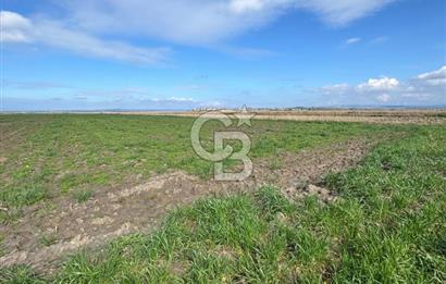 ÇANAKKALE MERKEZ TEVFİKİYE KÖYÜNDE SATILIK TARLA 