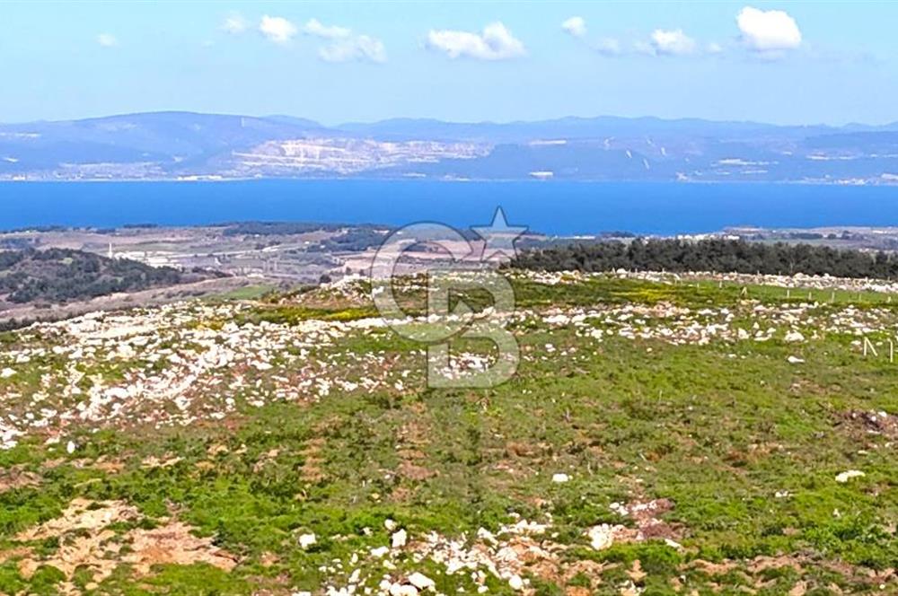 Çanakkale Kızılkeçilide Full Boğaz ve Köprü Manzaralı Tarla