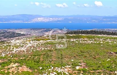 Çanakkale Kızılkeçilide Full Boğaz ve Köprü Manzaralı Tarla