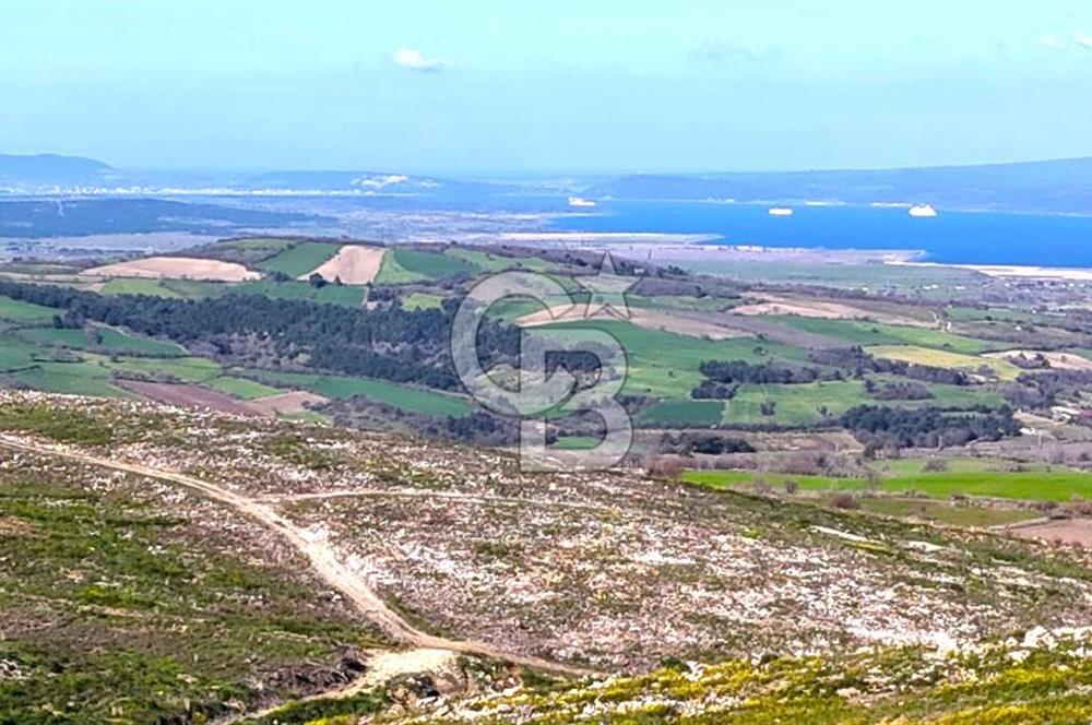 Çanakkale Kızılkeçilide Full Boğaz ve Köprü Manzaralı Tarla