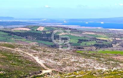 Çanakkale Kızılkeçilide Full Boğaz ve Köprü Manzaralı Tarla