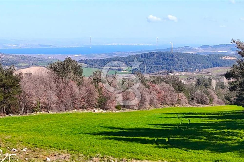 Çanakkale Kızılkeçilide Full Boğaz ve Köprü Manzaralı Tarla