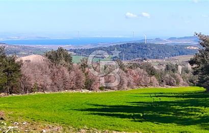 Çanakkale Kızılkeçilide Full Boğaz ve Köprü Manzaralı Tarla