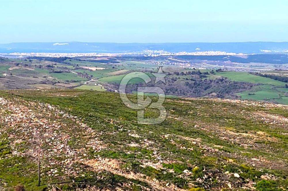 Çanakkale Kızılkeçilide Full Boğaz ve Köprü Manzaralı Tarla