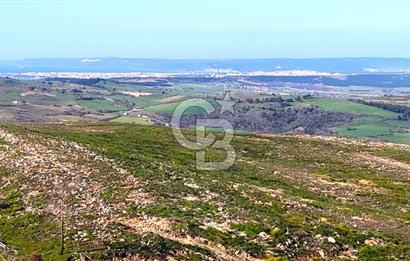 Çanakkale Kızılkeçilide Full Boğaz ve Köprü Manzaralı Tarla