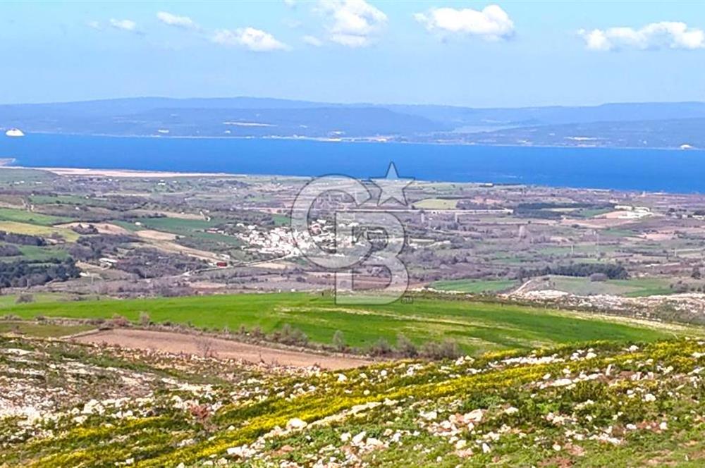 Çanakkale Kızılkeçilide Full Boğaz ve Köprü Manzaralı Tarla