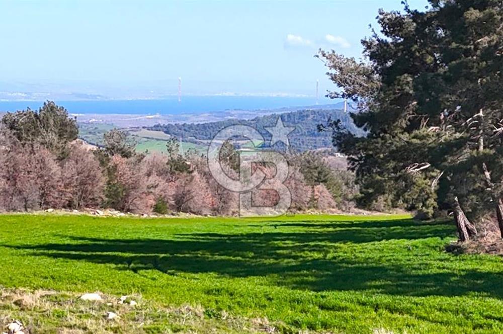 Çanakkale Kızılkeçilide Full Boğaz ve Köprü Manzaralı Tarla