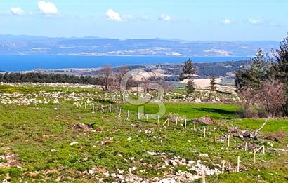 Çanakkale Kızılkeçilide Full Boğaz ve Köprü Manzaralı Tarla