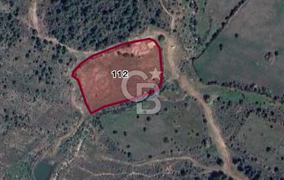 MANİSA YUNUSEMRE KARAKILIÇLIDA SATILIK TARLA