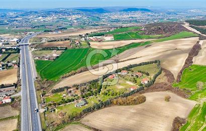 Çatalca Örcünlü'de Satılık 12.717 m2 Arsa