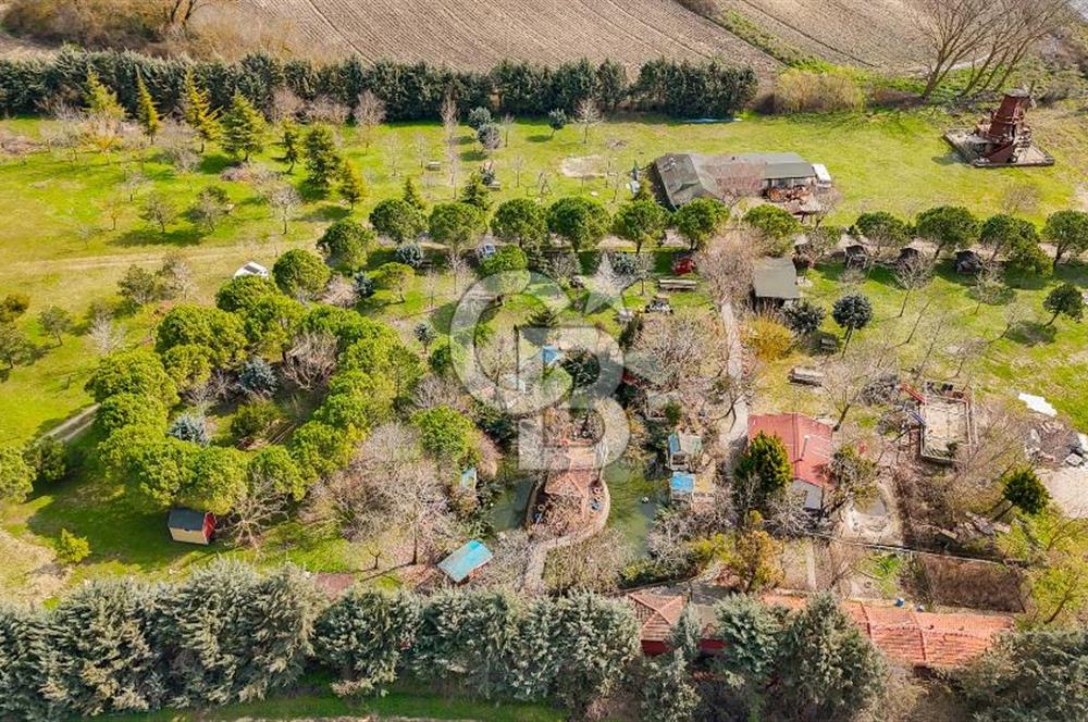 Çatalca Örcünlü'de Satılık 12.717 m2 Arsa