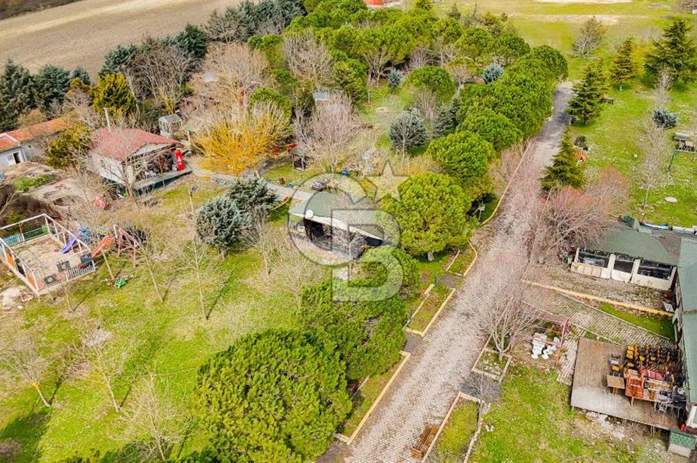 Çatalca Örcünlü'de 5164 m² Yatırımlık Arsa: Villa ve Restaurantlı