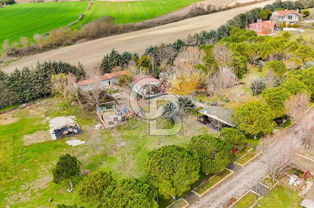 Çatalca Örcünlü'de 5164 m² Yatırımlık Arsa: Villa ve Restaurantlı