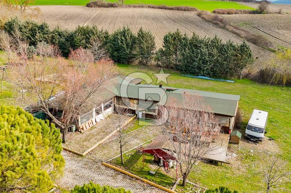 Çatalca Örcünlü'de 5164 m² Yatırımlık Arsa: Villa ve Restaurantlı