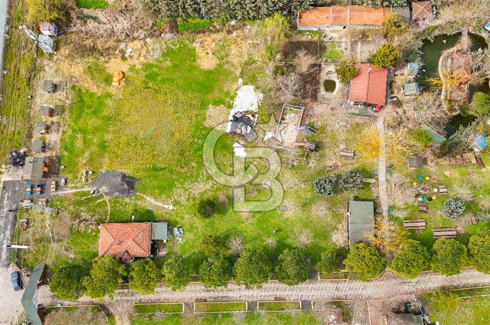 Çatalca Örcünlü'de 5164 m² Yatırımlık Arsa: Villa ve Restaurantlı