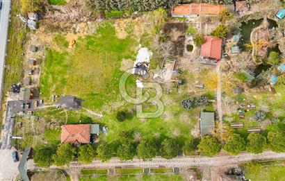 Çatalca Örcünlü'de 5164 m² Yatırımlık Arsa: Villa ve Restaurantlı
