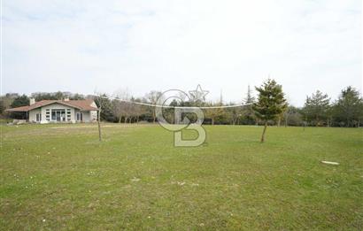 Çatalca Örcünlü'de 5164 m² Yatırımlık Arsa: Villa ve Restaurantlı