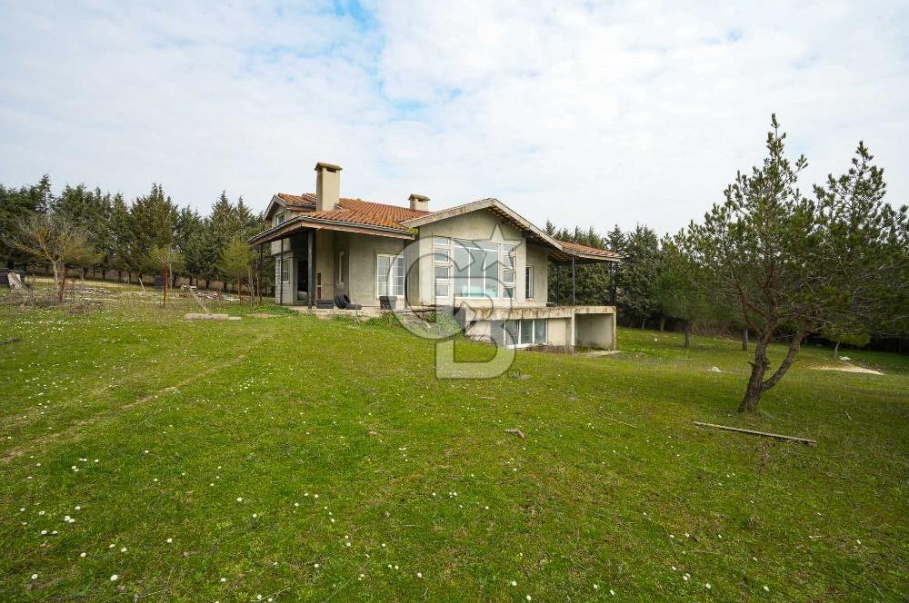 Çatalca Örcünlü'de 5164 m² Yatırımlık Arsa: Villa ve Restaurantlı