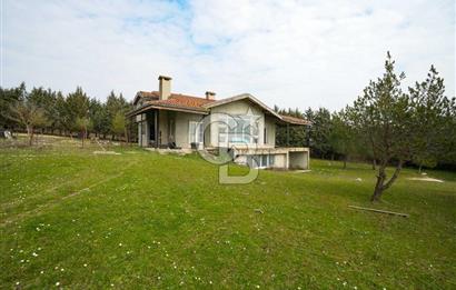 Çatalca Örcünlü'de 5164 m² Yatırımlık Arsa: Villa ve Restaurantlı