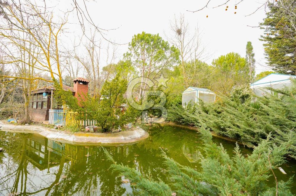 Çatalca Örcünlü'de Satılık 13.810 m2 Arsa