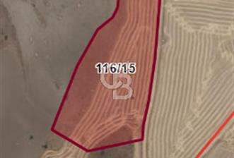 DOĞAYLA İÇ İÇE, YATIRIMA UYGUN TARLALAR - 8 - 337796