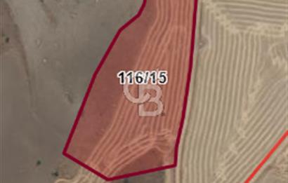 DOĞAYLA İÇ İÇE, YATIRIMA UYGUN TARLALAR