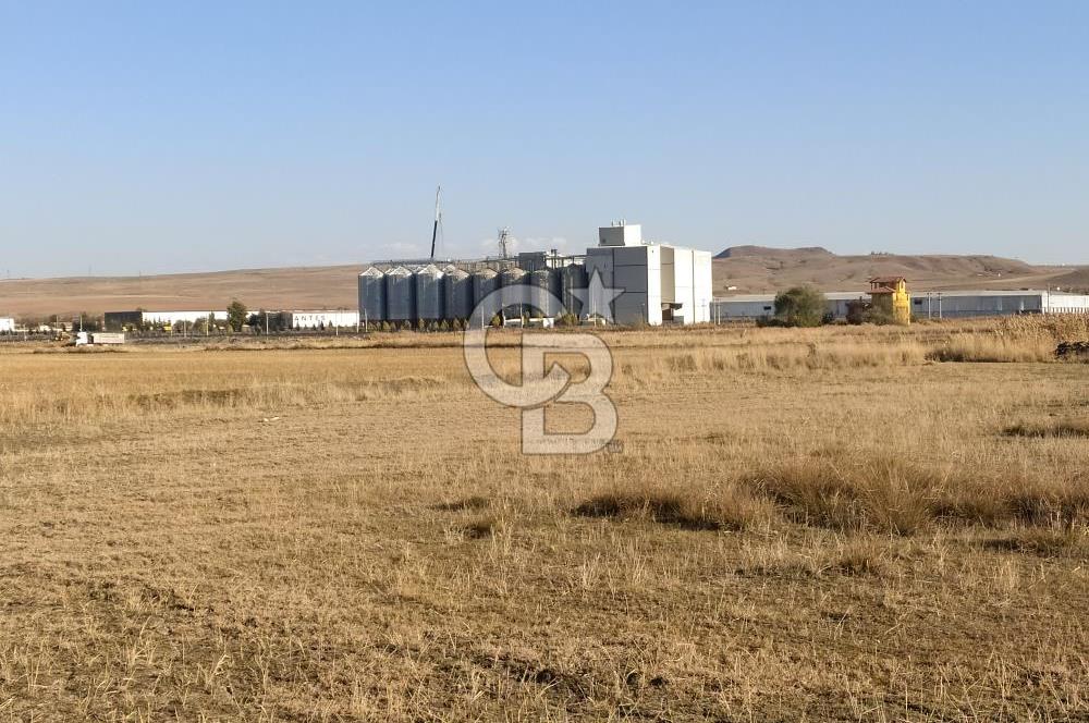 CB ALWAYS'DEN POLATLI HACITUĞRUL'DA ESKİŞEHİR YOLU ÜZERİ TARLA