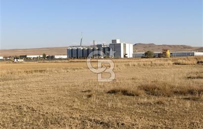 CB ALWAYS'DEN POLATLI HACITUĞRUL'DA ESKİŞEHİR YOLU ÜZERİ TARLA