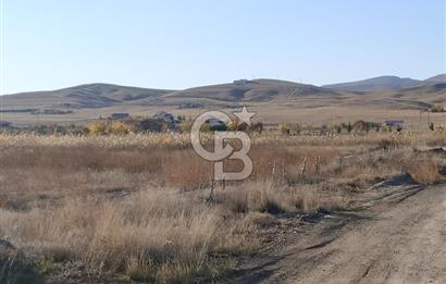 CB ALWAYS'DEN POLATLI HACITUĞRUL'DA ESKİŞEHİR YOLU ÜZERİ TARLA