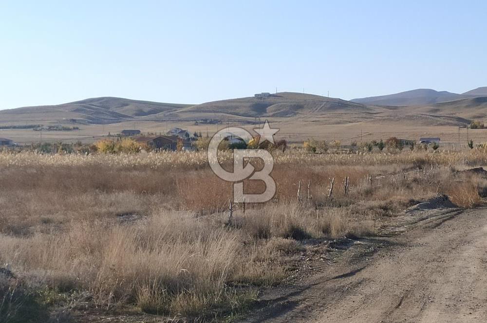 CB ALWAYS'DEN POLATLI HACITUĞRUL'DA ESKİŞEHİR YOLU ÜZERİ TARLA