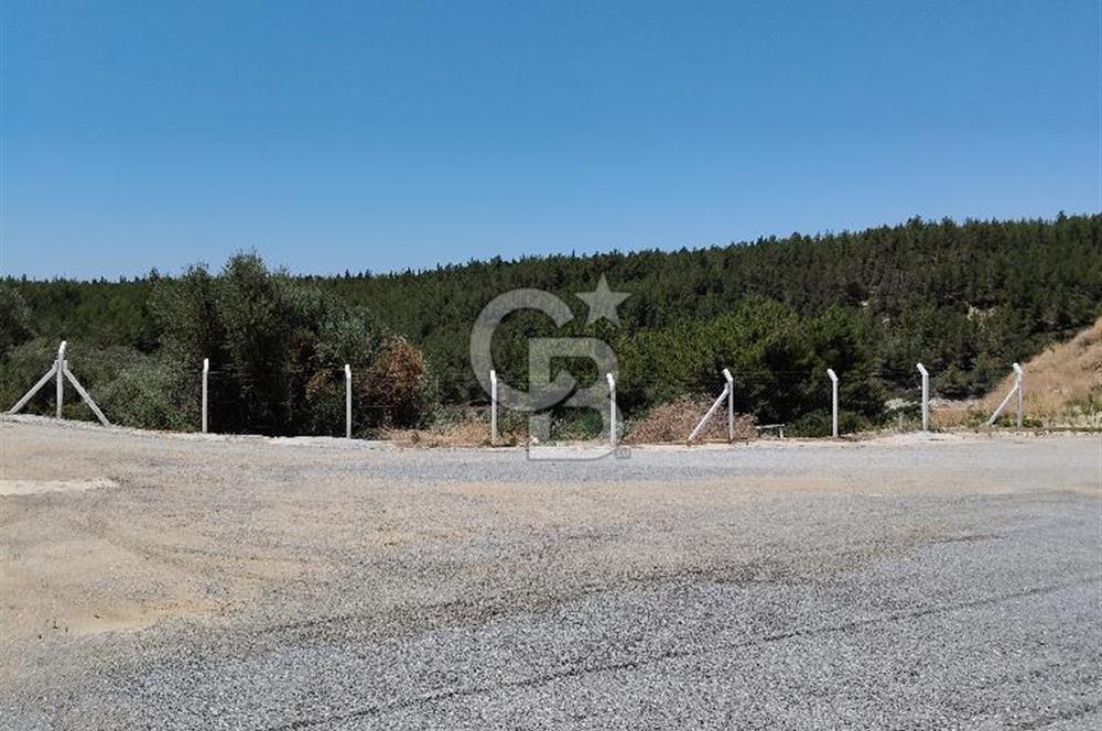 Kuşadası Eşin Vadi'de Kiralık 1+1 Daire - Doğa Manzaralı