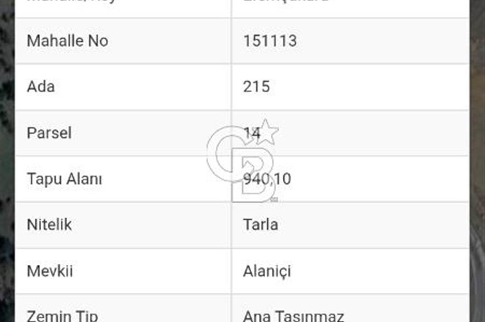 Menderes Efemçukuru 1 dönüm Tarla Yola Sıfır Eğimli