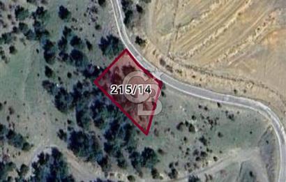 Menderes Efemçukuru 1 dönüm Tarla Yola Sıfır Eğimli