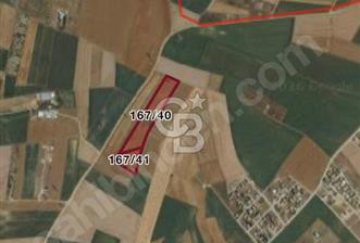 Marmara Ereğlisi Sultanköy'de Yola-Denize yakın Emsalsiz Tarla - 9 - 337819