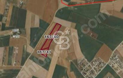 Marmara Ereğlisi Sultanköy'de Yola-Denize yakın Emsalsiz Tarla