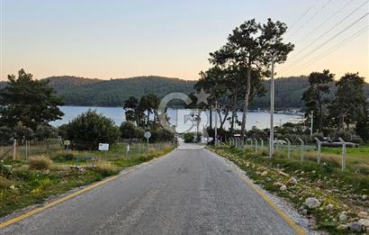 🌿 Doğa İçinde! Sarnıç’ta Tadilatlık Müstakil Ev – Akbük Koyu Yakını