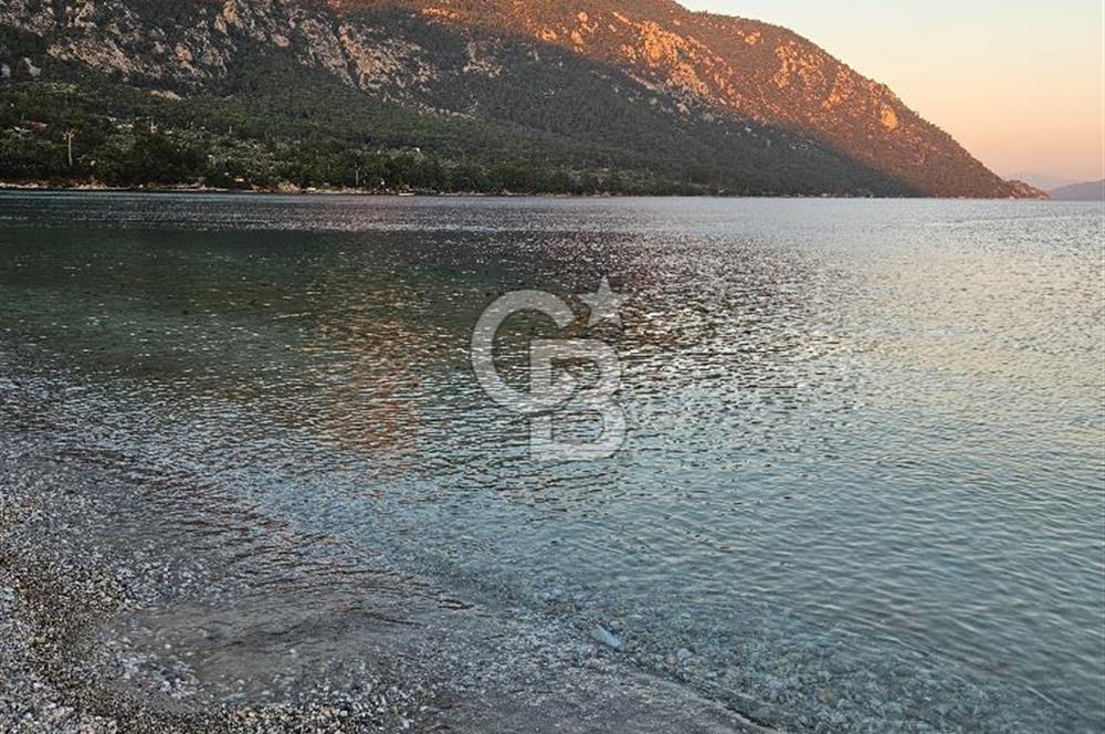 🌿 Doğa İçinde! Sarnıç’ta Tadilatlık Müstakil Ev – Akbük Koyu Yakını