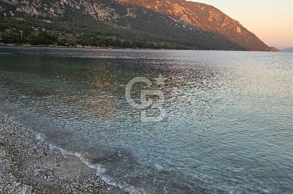 🌿 Doğa İçinde! Sarnıç’ta Tadilatlık Müstakil Ev – Akbük Koyu Yakını