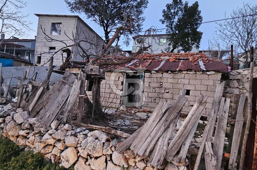 🌿 Doğa İçinde! Sarnıç’ta Tadilatlık Müstakil Ev – Akbük Koyu Yakını