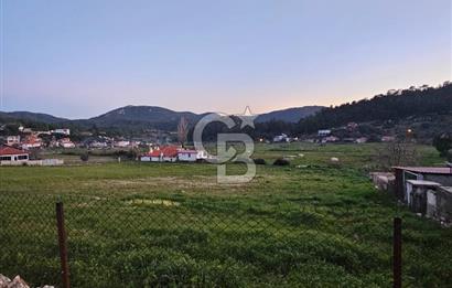 🌿 Doğa İçinde! Sarnıç’ta Tadilatlık Müstakil Ev – Akbük Koyu Yakını