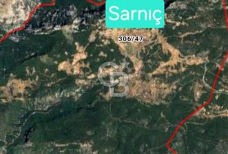 🌿 Doğa İçinde! Sarnıç’ta Tadilatlık Müstakil Ev – Akbük Koyu Yakını - 1 - 337849